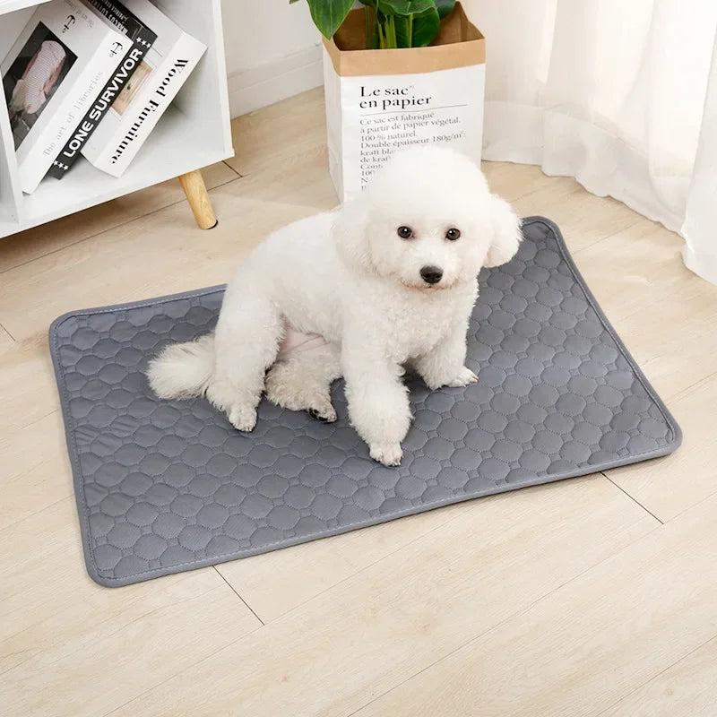 Pet Care Essentials® Reusable Training Pad™
