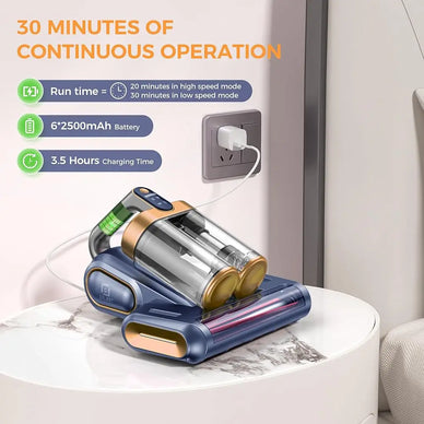 Transform Your Home into an Allergen-Free Haven